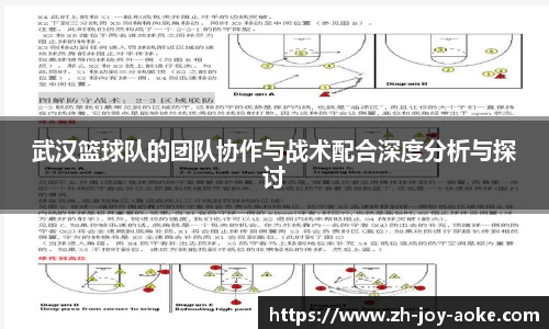 武汉篮球队的团队协作与战术配合深度分析与探讨